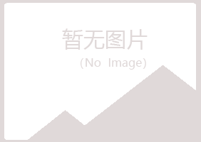 银川兴庆夏槐能源有限公司